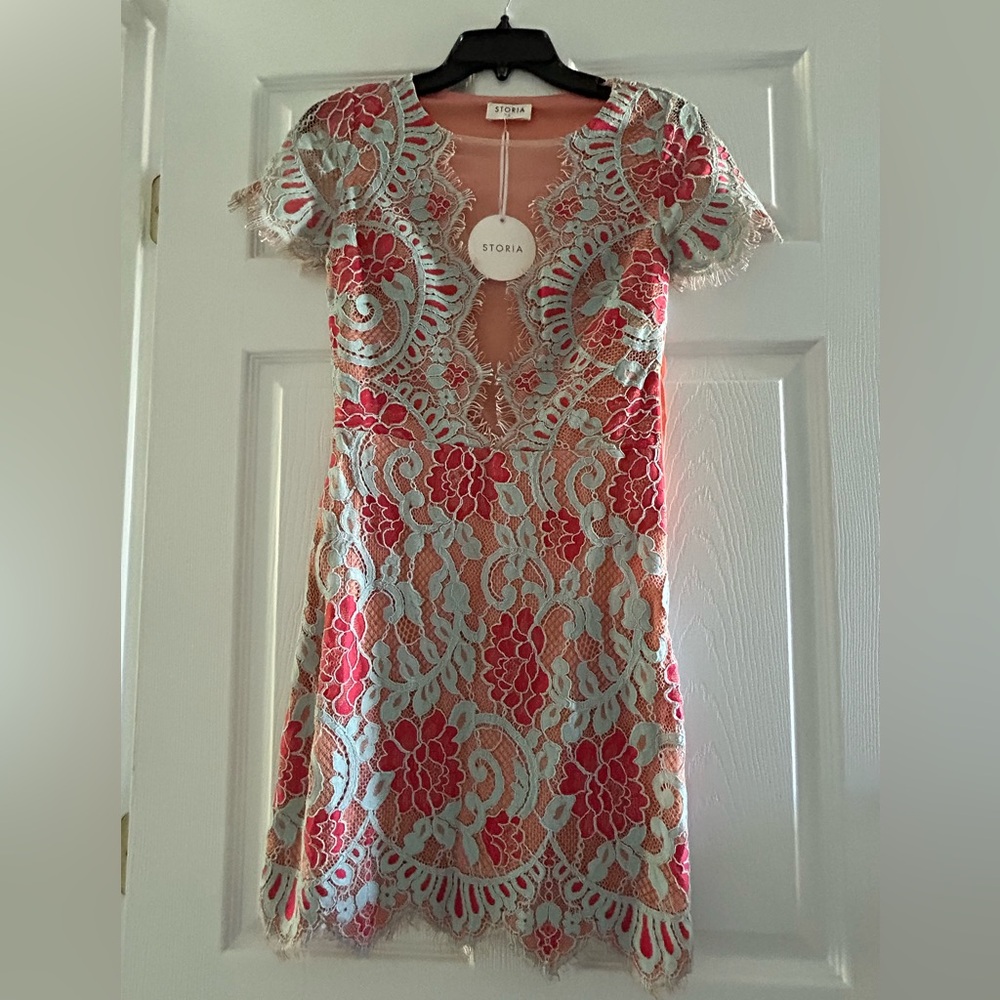 NWT Small Storia Lace Overlay Dress